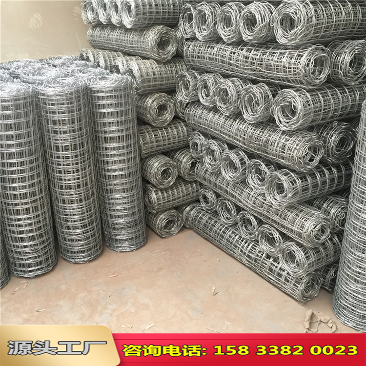 大同礦用經(jīng)緯編織網(wǎng)圖片1